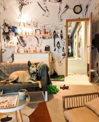 TD - pet city - apartment with dog